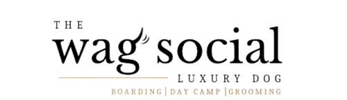 Luxury Dog Boarding, Grooming, Daycare Sevierville, Tennessee