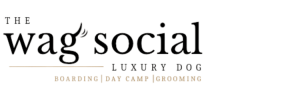 Luxury Dog Boarding, Grooming, Daycare Sevierville, Tennessee