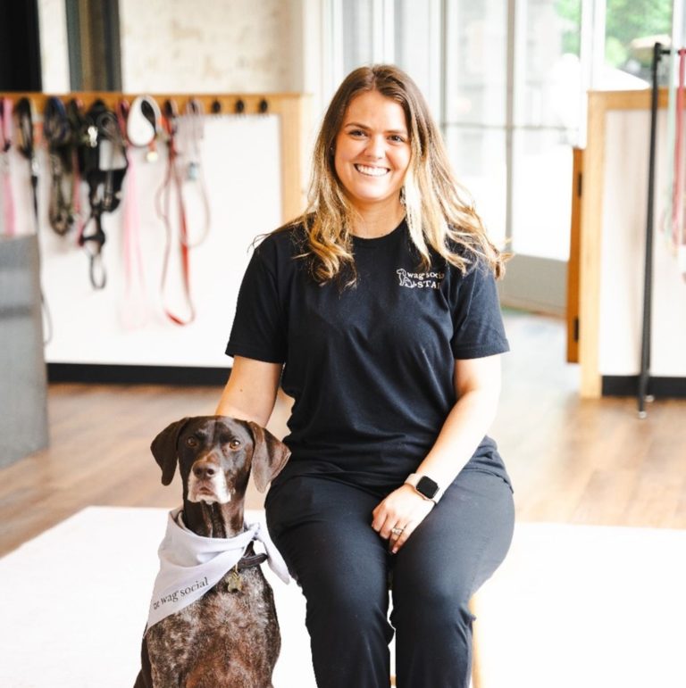 About Us at The Wag Social Sevierville's Top Dog Grooming Boarding and Doggy Day Care