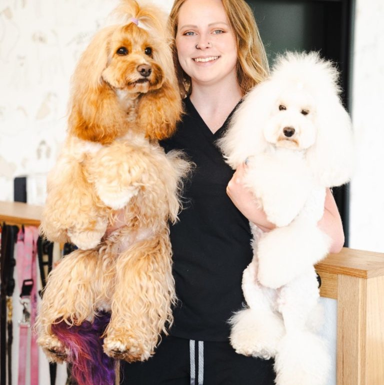 About Us at The Wag Social Sevierville's Top Dog Grooming Boarding and Doggy Day Care (