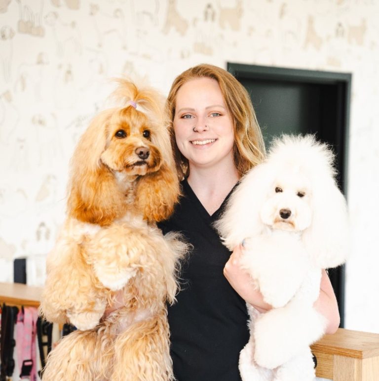 About Us at The Wag Social Sevierville's Top Dog Grooming Boarding and Doggy Day Care
