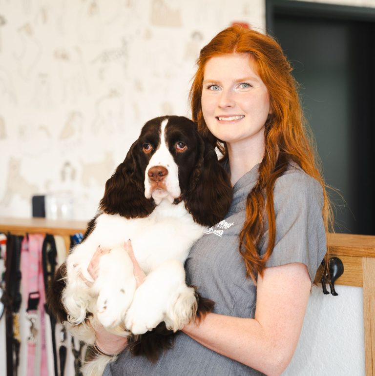 Sevierville and Knoxville Top Dog Groomers The Wag Social