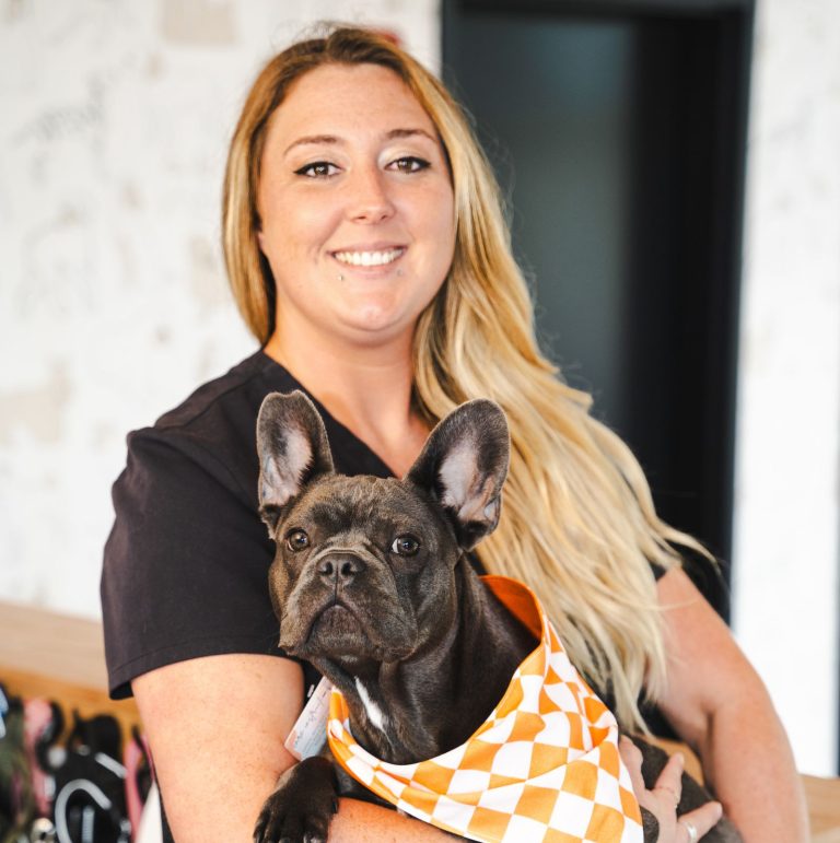 Sevierville and Knoxville Top Dog Groomers The Wag Social