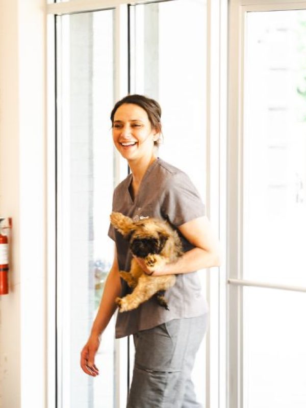 Susan Hatch Award Winning Groomer and Co-Owner The Wag Social Sevierville, Tennessee