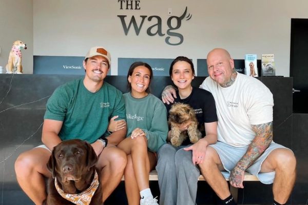 Best Dog Grooming Boarding and Doggy Daycare Sevierville Gatlinburg Knoxville Tennessee