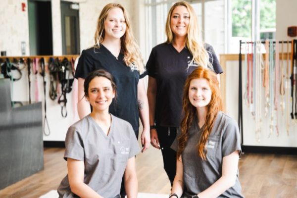 Mobile Dog Grooming Team Sevierville Tennessee