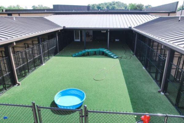 The Wag Social Dog Boarding and Day Camp Facility in Sevierville Tennessee